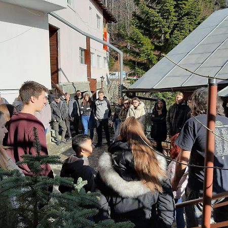 Casa Cristina_ Cabana Buşteni Esterno foto