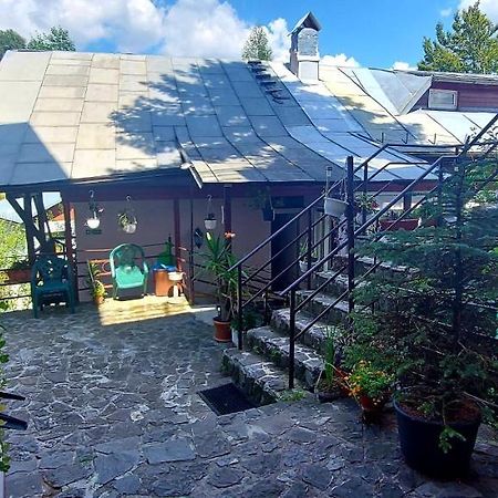 Casa Cristina_ Cabana Buşteni Esterno foto