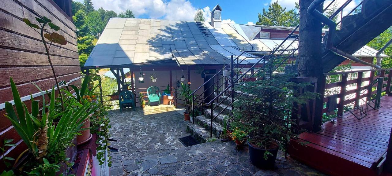 Casa Cristina_ Cabana Buşteni Esterno foto